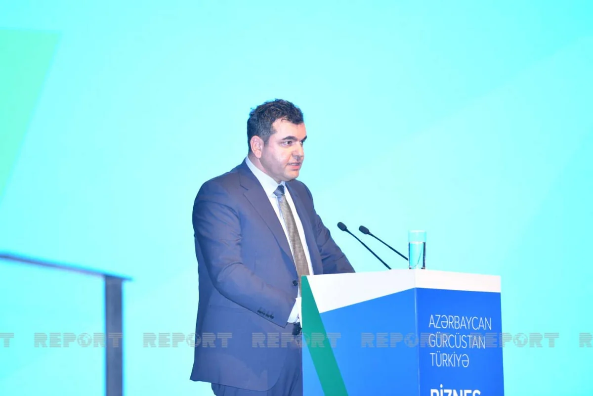 Pertaia: Despite pandemic, Georgia’s trade with Azerbaijan grew 16%