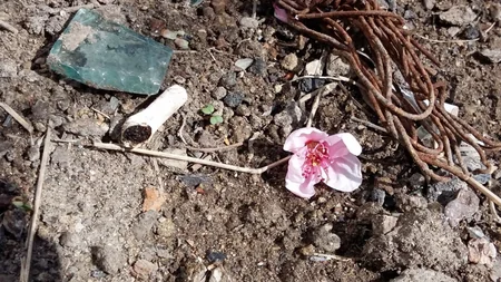 ​“Tullantım azalsın” fotomüsabiqəsinin qalibləri mükafatlandırılıb