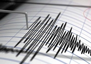 У берегов Мексики произошло землетрясение магнитудой 5,9