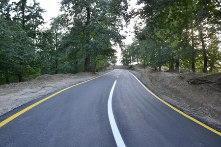 Prezident İlham Əliyev Lerik rayonunda yol açılışında iştirak edib