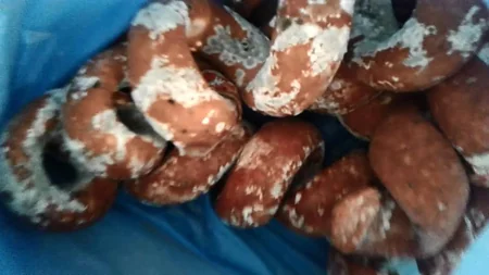 Dövlət Baytarlıq Nəzarəti Xidməti Bakıda 100 kq yararsız kolbasa aşkarlayıb