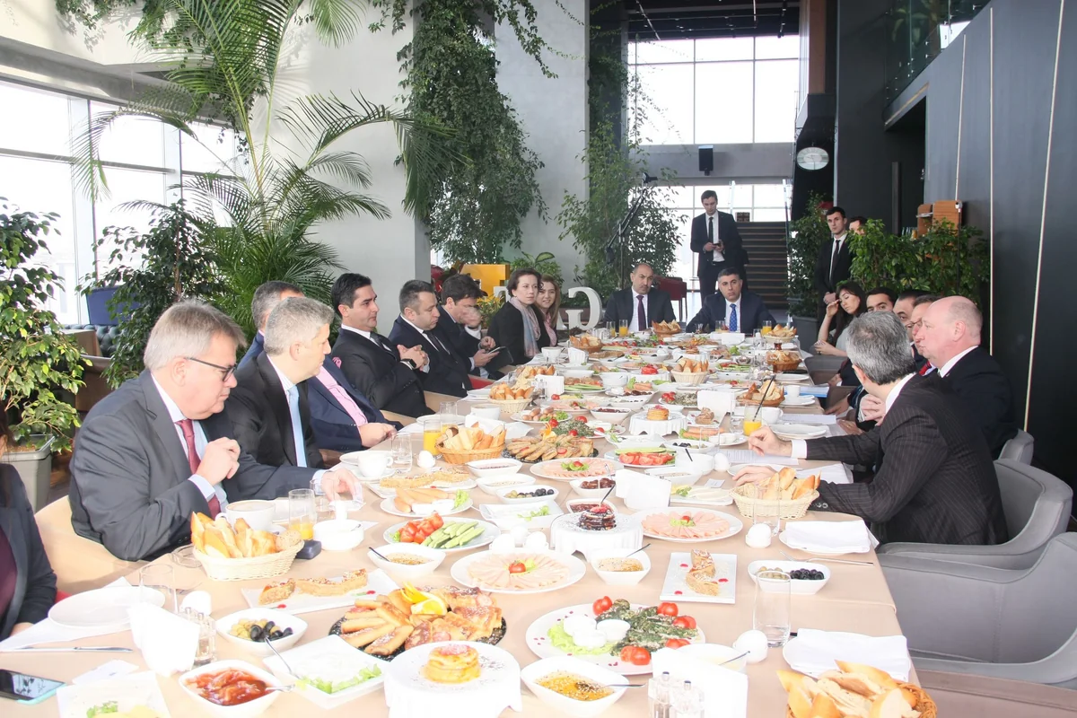 Хенрик Хололей: Азербайджан может стать частью трансъевропейских сетей ЕС