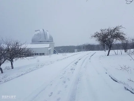 Сильный снегопад в Шамахе нанес ущерб цветущим фруктовым деревьям - ФОТО