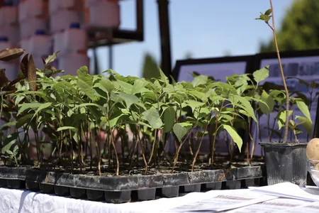 Qazaxda Aqrar Biznes Festivalı keçirilib