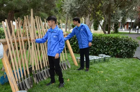 Bakının mərkəzində mövsümi ağaclar əkilir