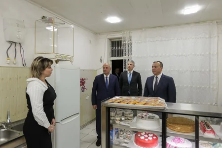 Mingəçevirdə Vətən müharibəsi iştirakçısı üçün qurulmuş təsərrüfata baxış keçirilib