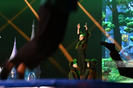 Azərbaycan Gimnastika Federasiyasının təşkilatçılığı ilə yeni il şousu keçirilib