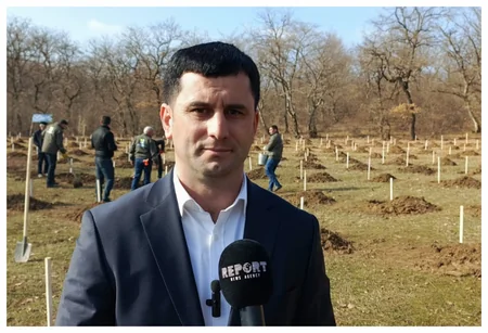 В Губинском, Гусарском, Хачмазском и Шабранском районах посажено более 8 тысяч деревьев