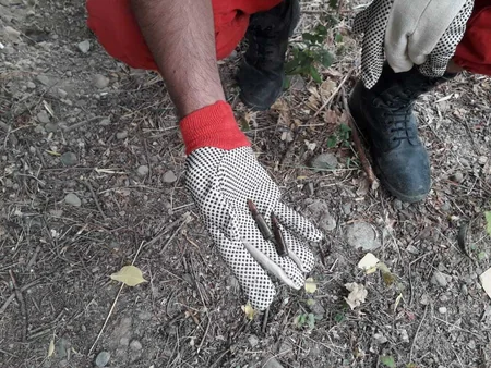 Qazaxın “Asfalt zavod” adlanan ərazisində çoxlu sayda silah-sursat tapılıb - FOTO
