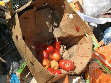 ​Жители Смоленска уносят с полигона уцелевшие санкционные продукты
