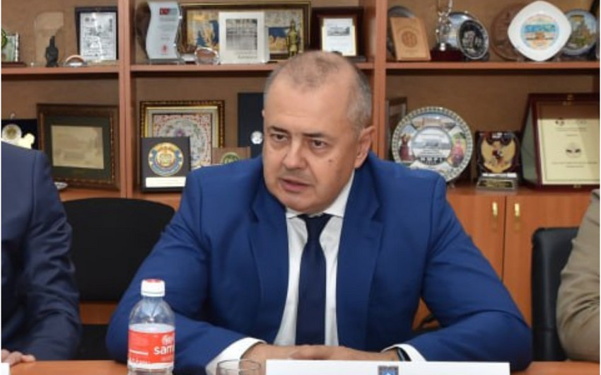 Hexagon: Azərbaycanda yağmur meşələrinin qorunması layihəsi tətbiq oluna bilər