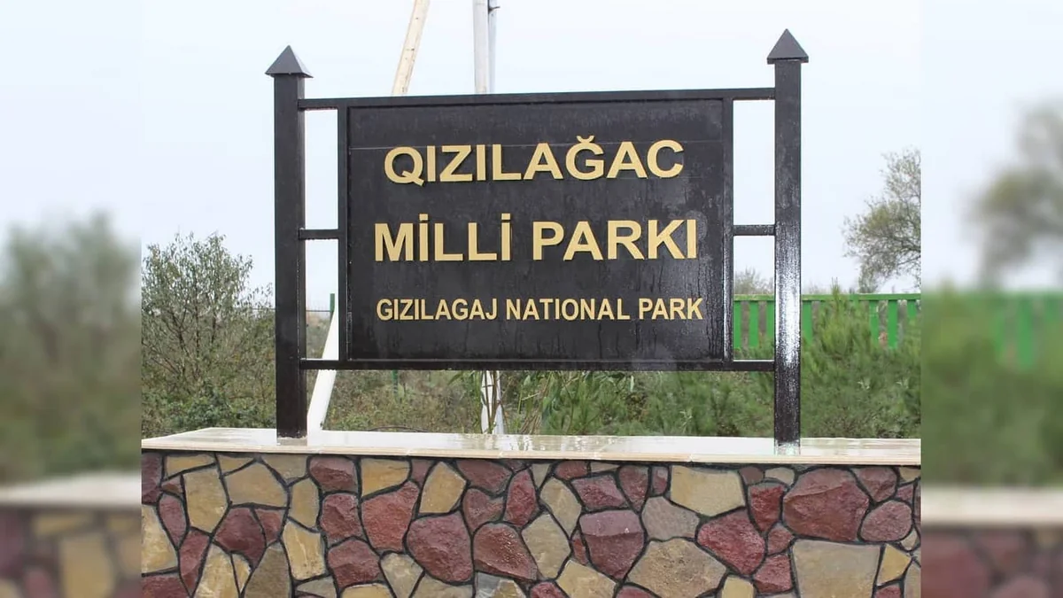 Xidmət rəisi: “Qızılağac Milli Parkında vəziyyət əvvəlki illərdən qat-qat yaxşıdır”