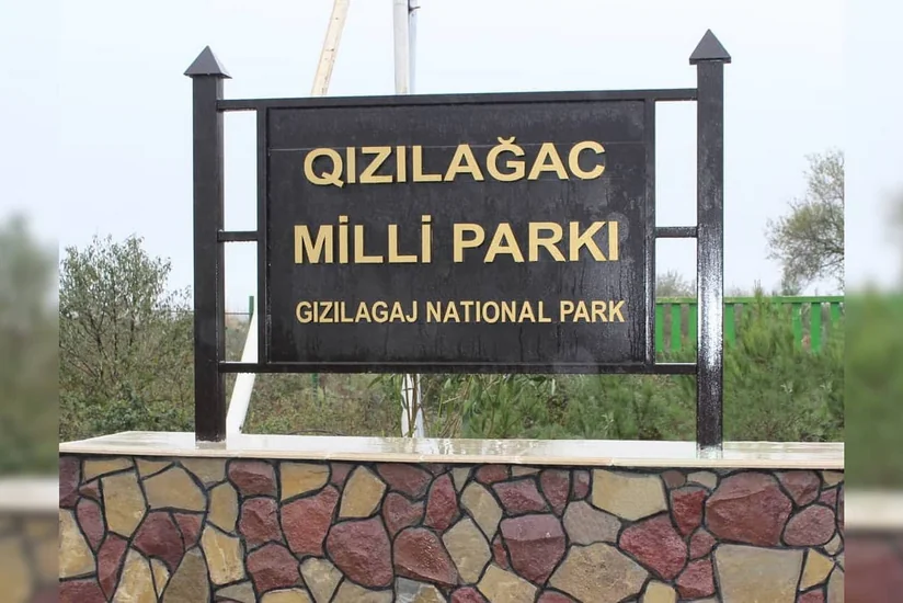 Xidmət rəisi: “Qızılağac Milli Parkında vəziyyət əvvəlki illərdən qat-qat yaxşıdır”