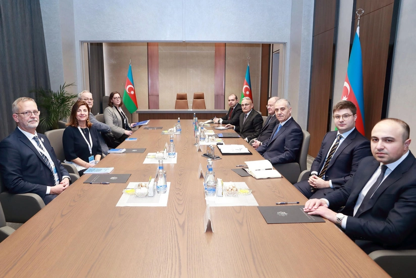 Ali Naghiyev meets with ICMP Director General