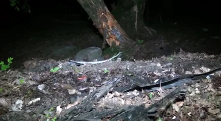 В Исмаиллы автомобиль врезался в дерево, водитель скончался