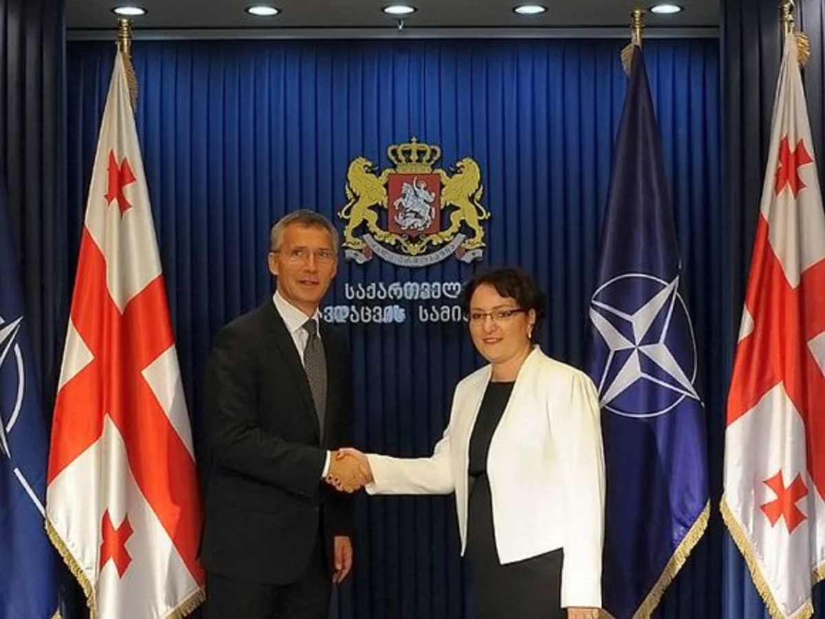 Türkiyə Gürcüstanın NATO-ya sadələşdirilmiş sxem üzrə qəbul edilməsini təklif edəcək