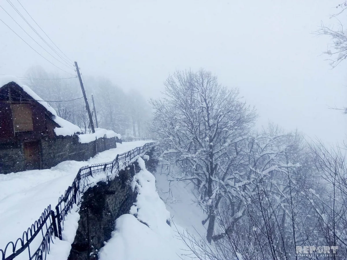 Qaxın Sarıbaş kəndinə 60 santimetr qar yağıb - FOTO - VİDEO