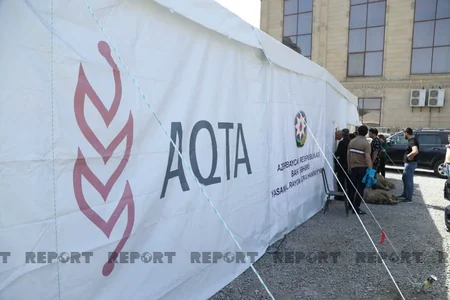 Bakıda əhali qurban kəsib