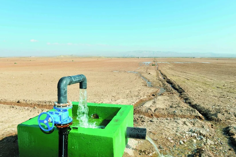Sabirabad və Salyanda 11 min hektara yaxın qış otlaq sahələri suvarma suyu ilə təmin ediləcək