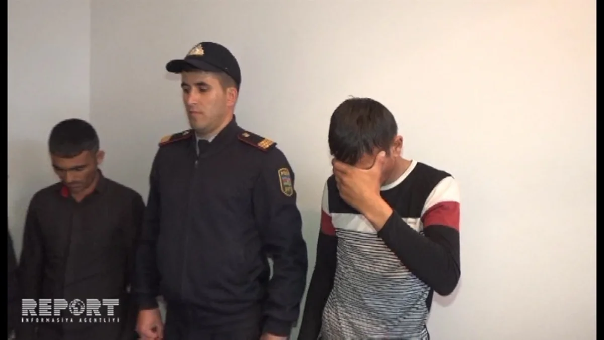 Cəlilabad sakini dostu ilə əlbir olub bibisi oğlunun qoyunlarını oğurlayıb