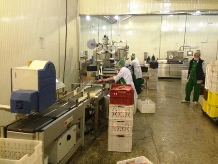 Azərbaycanda bu il dövlət xətti ilə sahibkarlara 190 mln. manat güzəştli kredit verilib