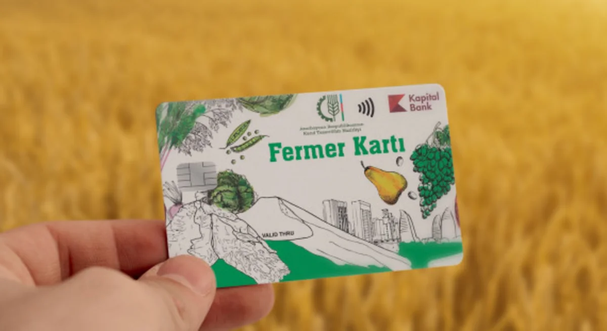 Hesablama Palatası: Fermer kartına subsidiya adı ilə köçürülmüş vəsait büdcəyə qaytarılmayıb