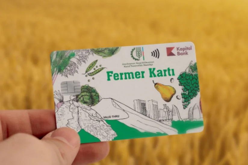 Hesablama Palatası: Fermer kartına subsidiya adı ilə köçürülmüş vəsait büdcəyə qaytarılmayıb
