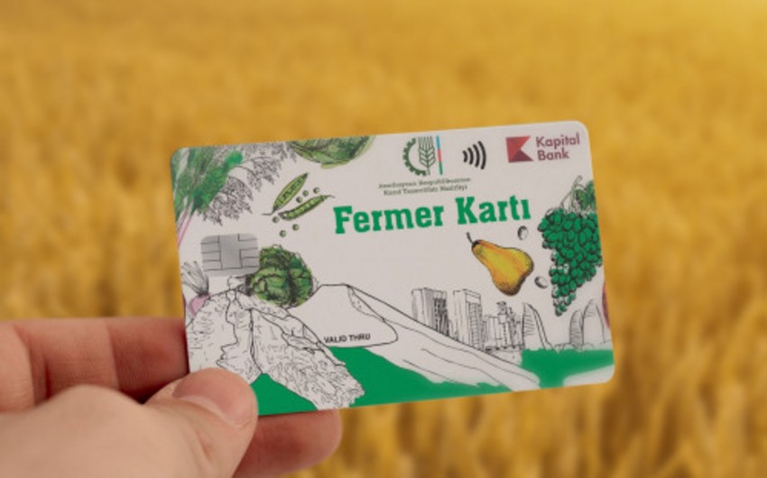 Hesablama Palatası: Fermer kartına subsidiya adı ilə köçürülmüş vəsait büdcəyə qaytarılmayıb