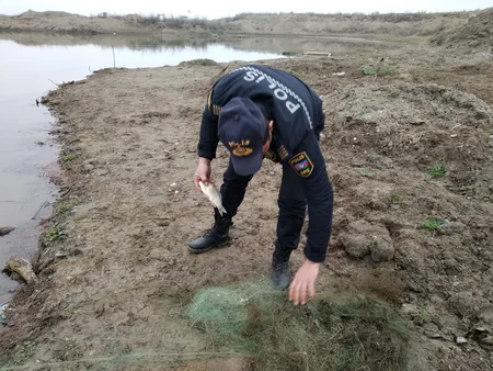 İmişlidə brakonyerliyə qarşı reyd keçirilib