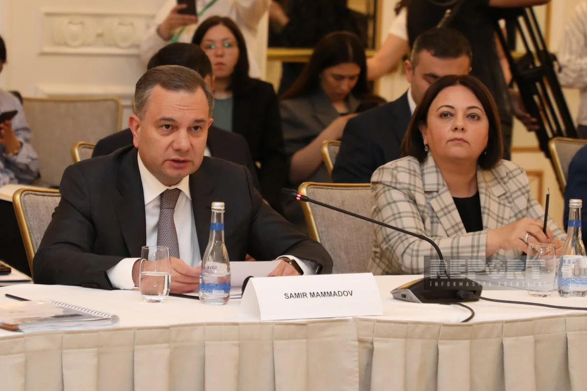 Azerbaijan invites Hungarian companies to cooperate in transport field