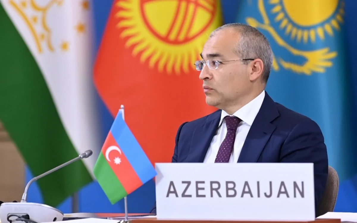 Mikayıl Cabbarov: Azərbaycan COP29-un ev sahibi kimi gözləntilərin olduğunu anlayır