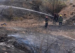 FHN və DİN yanğın təhlükəsizliyi ilə bağlı birgə çağırış edib