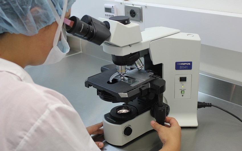 South Korea reports first case of brain-eating parasite