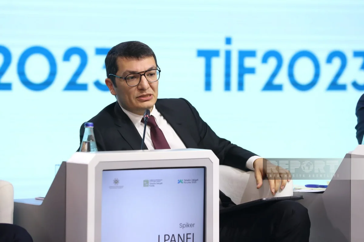 Elnur Əliyev: Azərbaycanda innovativ alətlər sinxronlaşdırılmalıdır