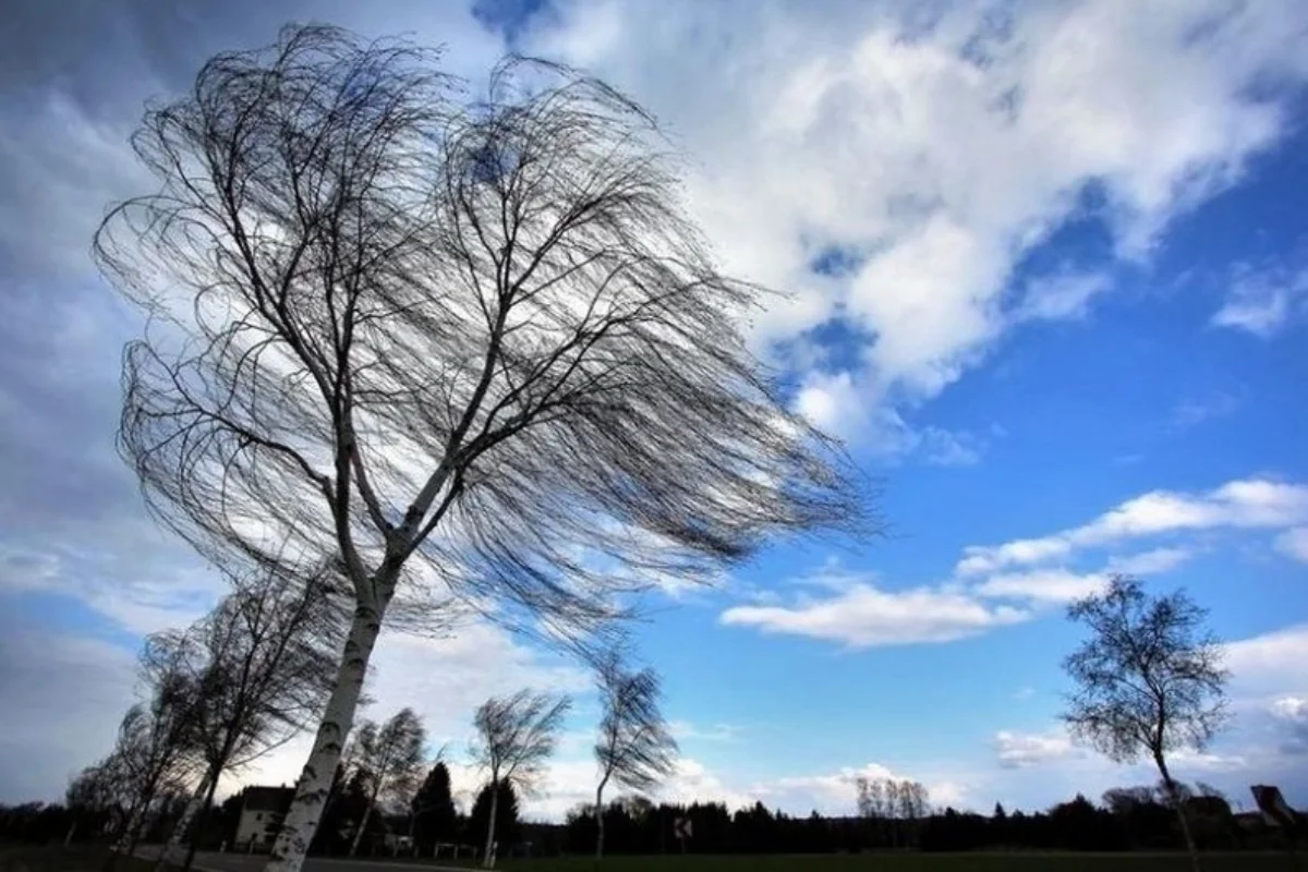 Güclü küləklə əlaqədar xəbərdarlıq edilib