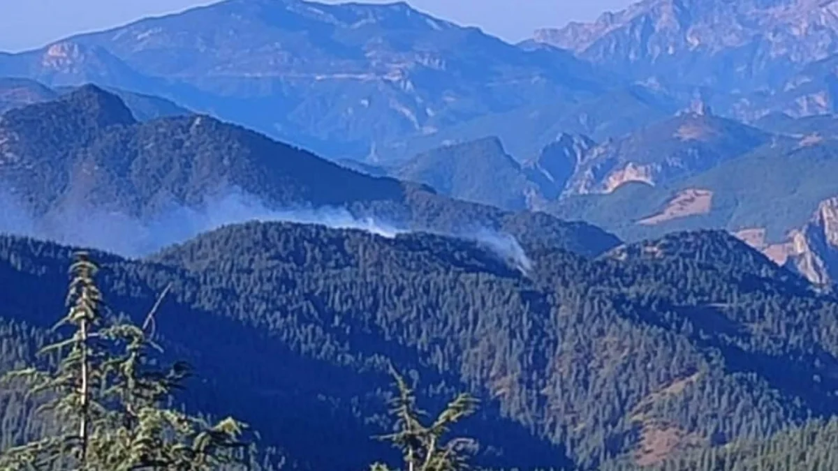 Adanada meşə yanğını nəzarətə götürülüb - YENİLƏNİB