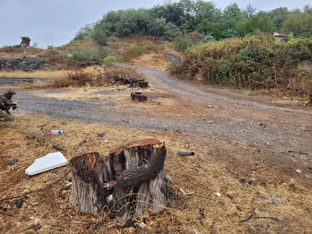 Deputy Minister: Fires committed by Armenians cause serious damage to regional ecosystem