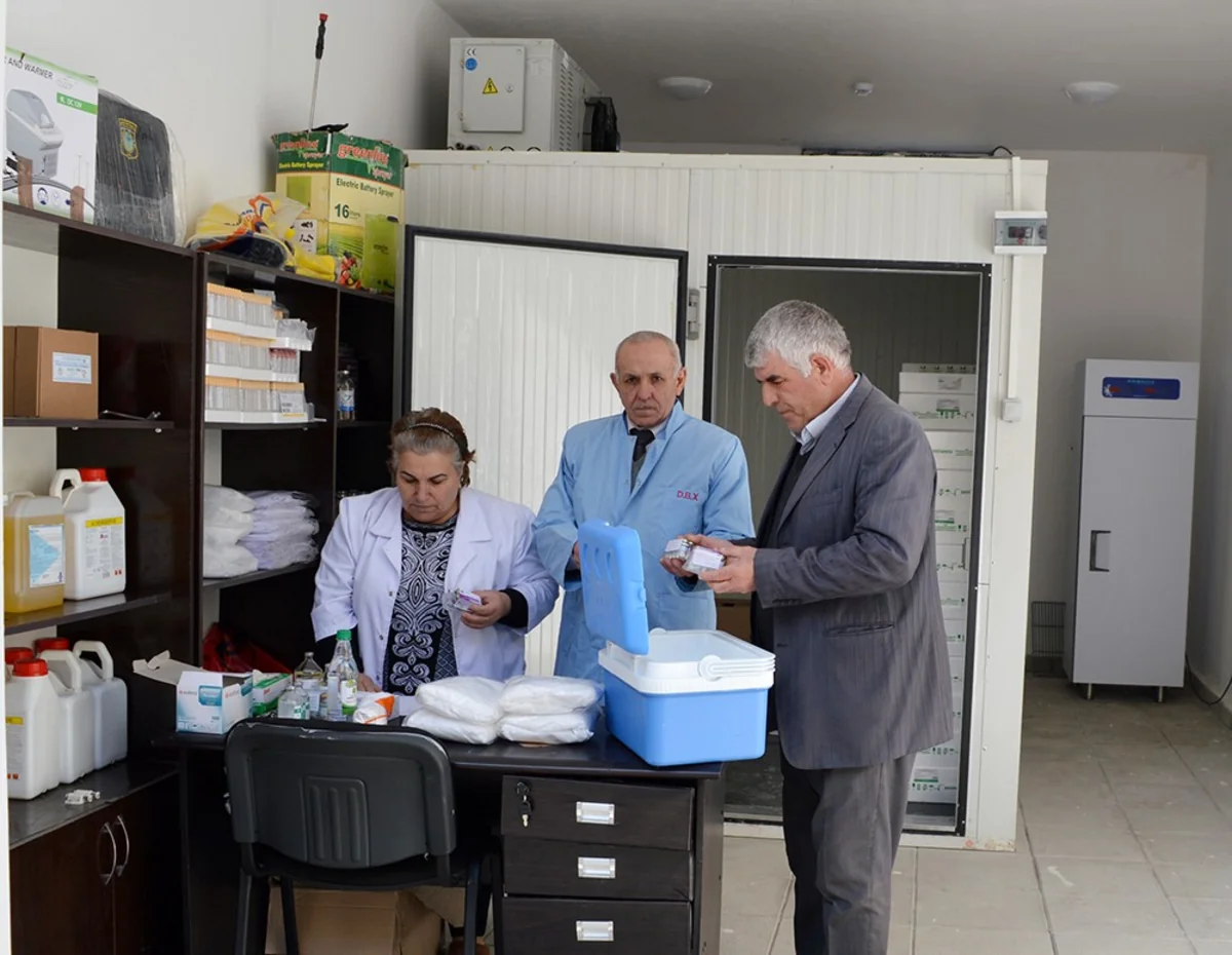 Şamaxıda epizootiya əleyhinə profilaktik tədbirlərə başlanılıb