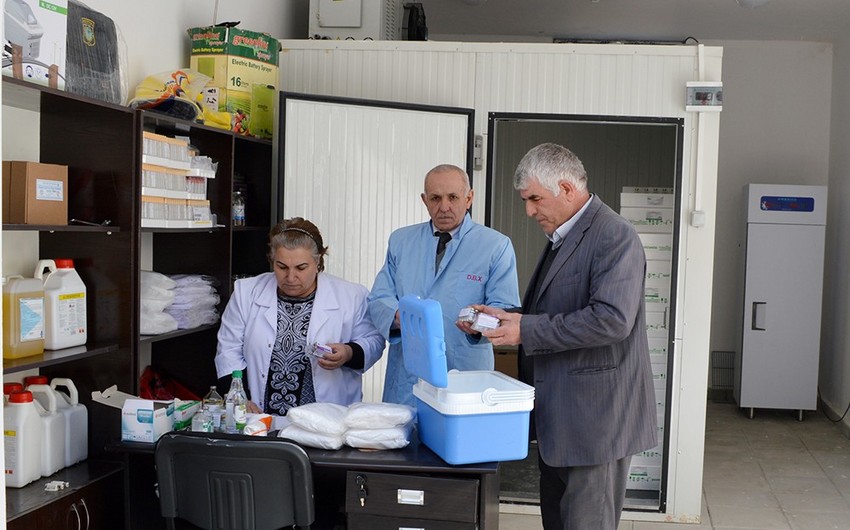 Şamaxıda epizootiya əleyhinə profilaktik tədbirlərə başlanılıb