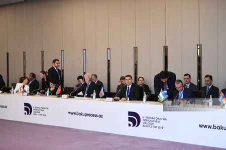 В рамках VI Всемирного форума по межкультурному диалогу обсудили подготовку к COP29