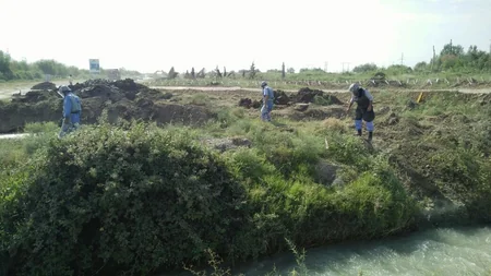 Ağcabədidə yol kənarından top mərmisi tapılıb