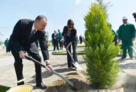Президент Азербайджана принял участие в кампании по посадке деревьев, посвященной дню рождения общенационального лидера