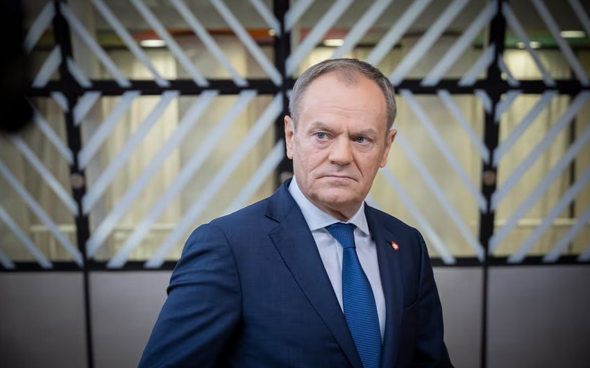 Polish PM declares war on beavers for undermining flood defenses