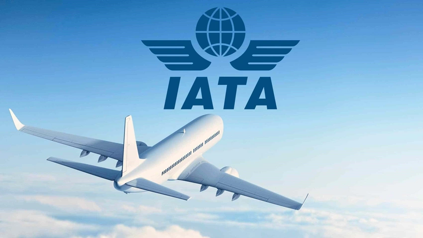 IATA: Bu il aviasiya tarixinin ən pis ili olacaq