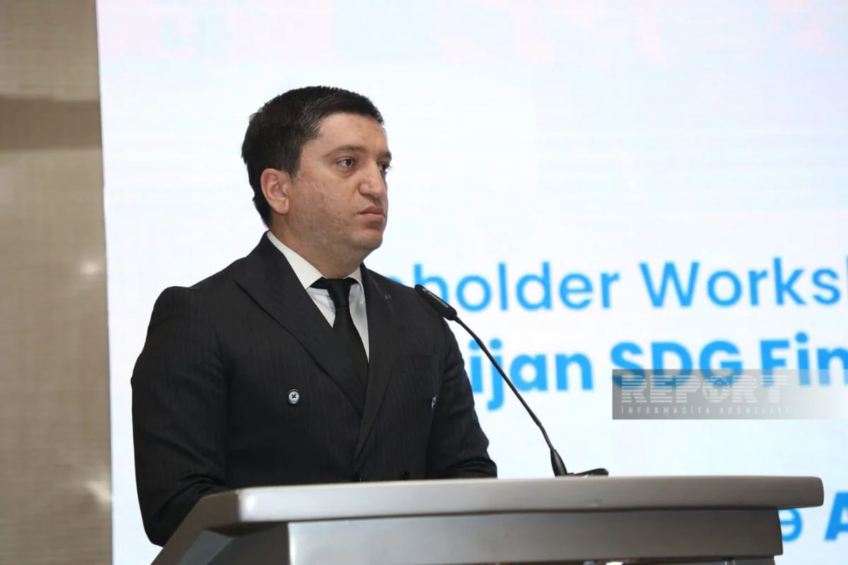Sosial-iqtisadi inkişaf Strategiyasının maliyyə tutumu müəyyənləşdirilib