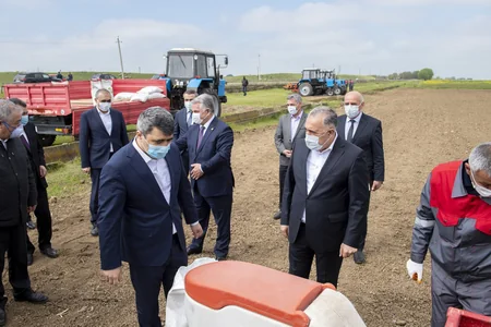Azərbaycanda  pambıq  səpininə başlanılıb