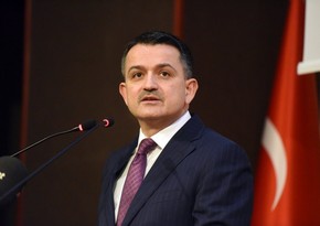 Türkiyədə bütün meşə yanğınları söndürülüb