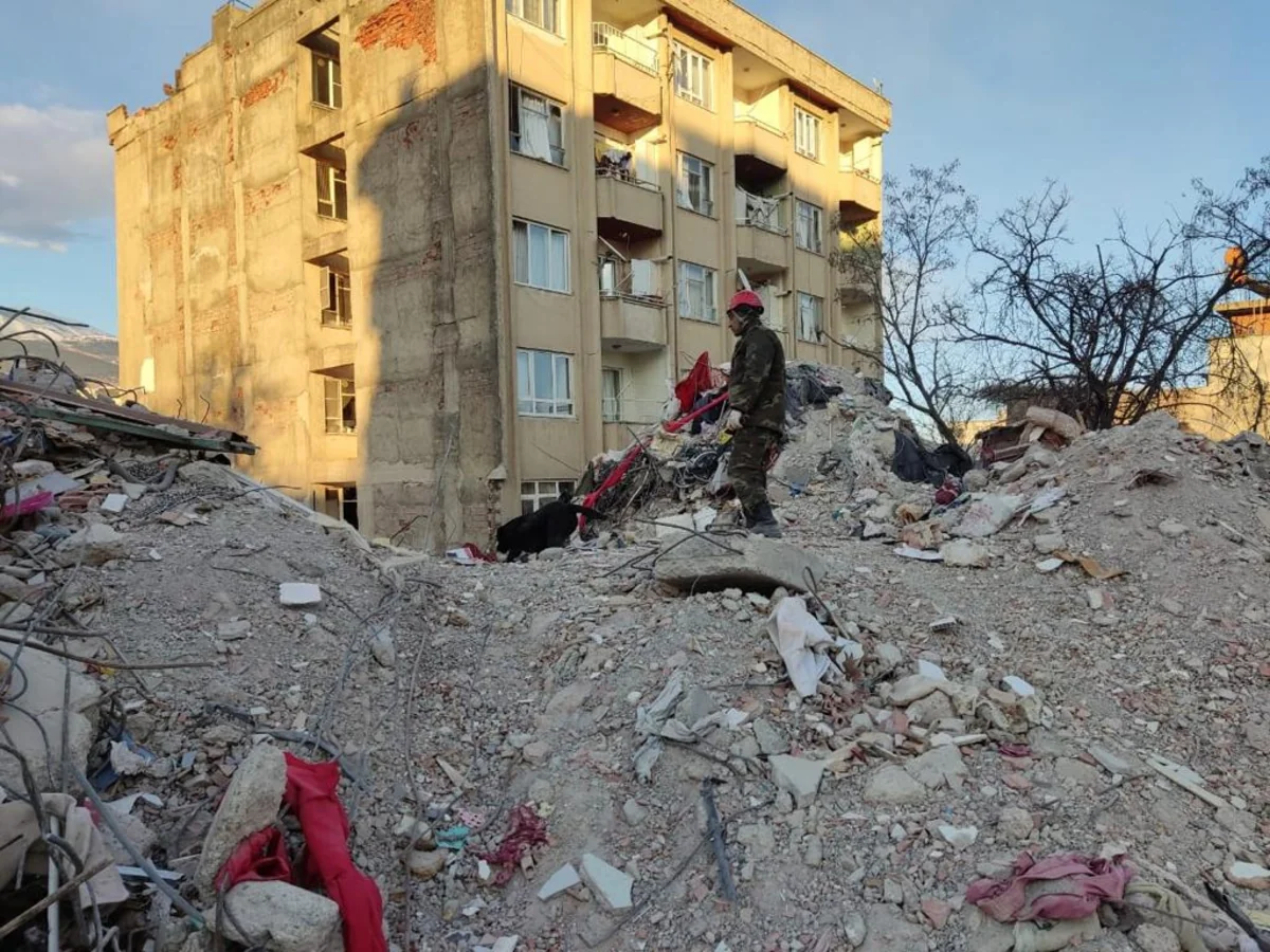 Azerbaijani rescuers save 53 people trapped under rubble, recover 741 bodies