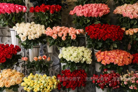 Pandemiyada gül və hədiyyə satışı: razı və narazı olanlar var - VİDEOSORĞU