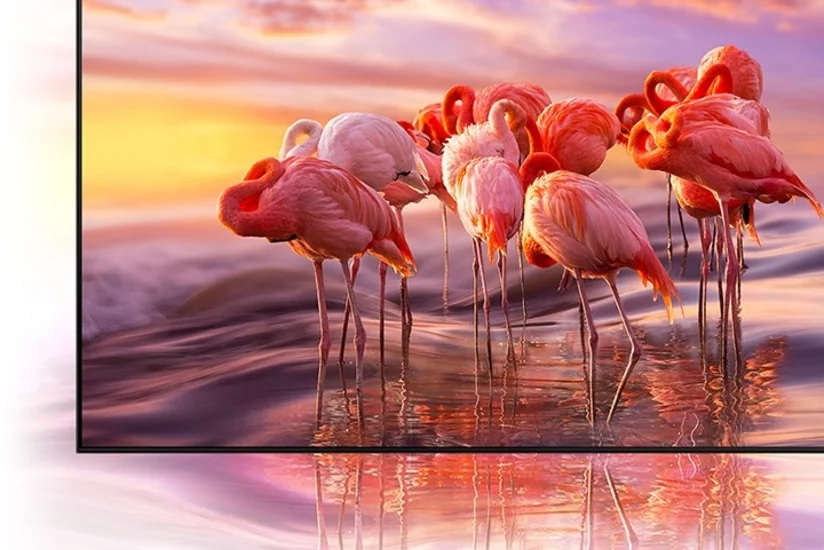 Hər şey ən xırda detalına qədər görünür. Neo QLED 8K haqqında bir neçə söz